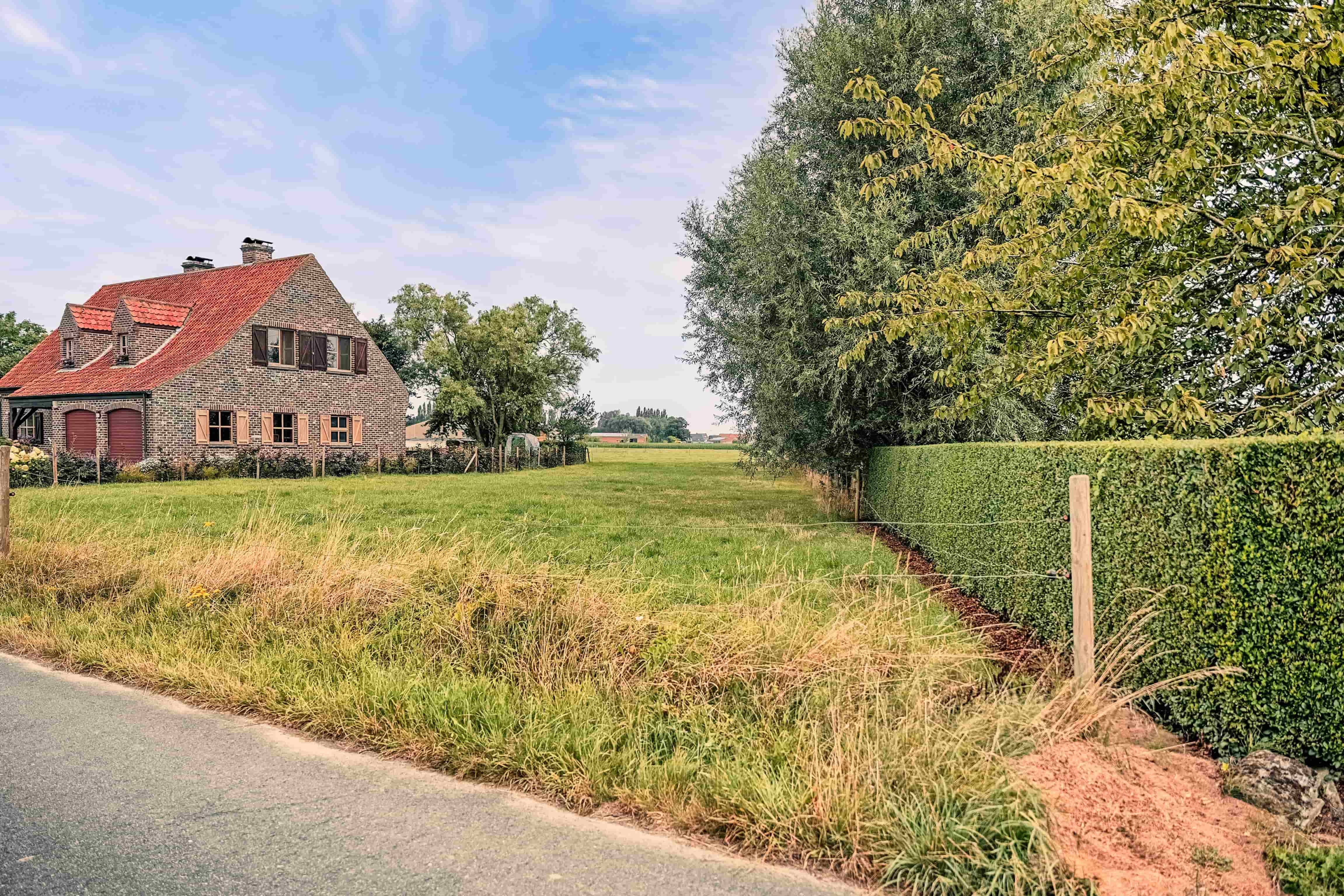 Aardbeziënstraat cover